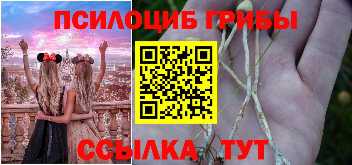 Псилоцибиновые грибы Magic Shrooms  Галлюциногенные грибы Cubensis  Протвино  Вход с VPN 